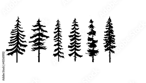 Collection of pine trees vector
