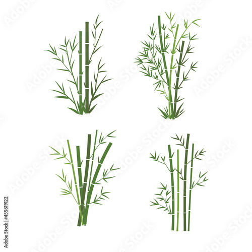 Bamboo tree leaf vector illustration