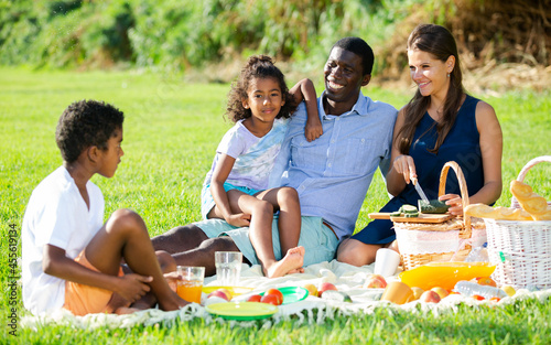 Happy mixed race couple with preteen children gaily spending time at picnic on green lawn