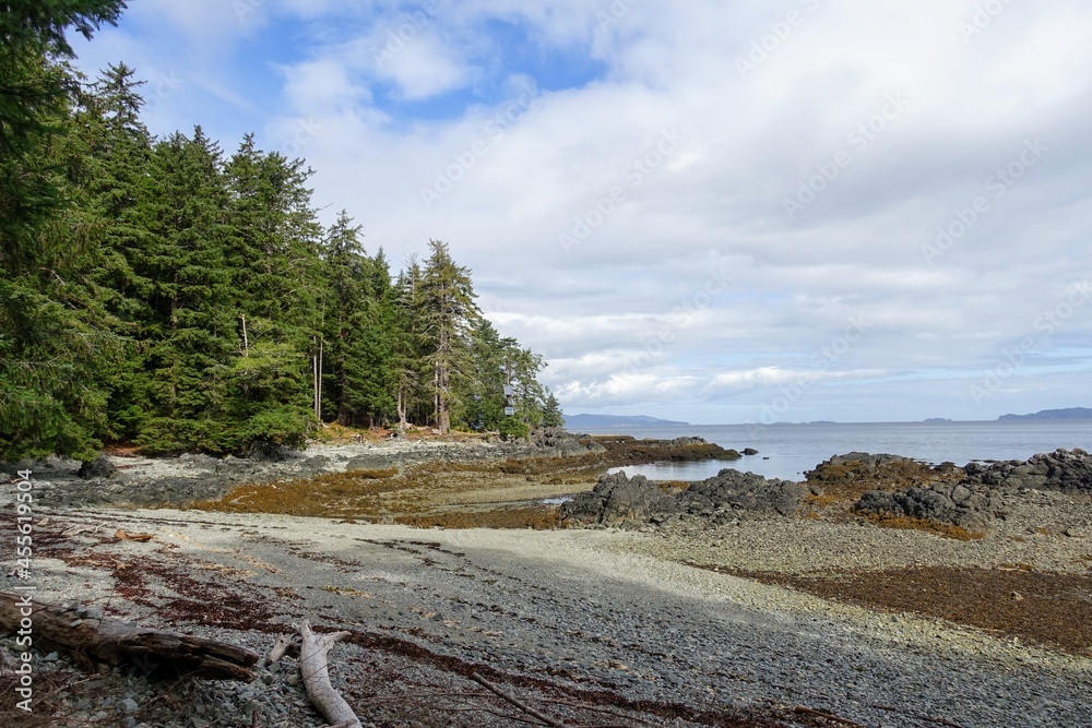 A beautiful view of a shores at low tide surrounded by beautiful calm ocean in the background, in Gwaii Haanas National Park Reserve, Haida Gwaii, British Columbia, Canada
