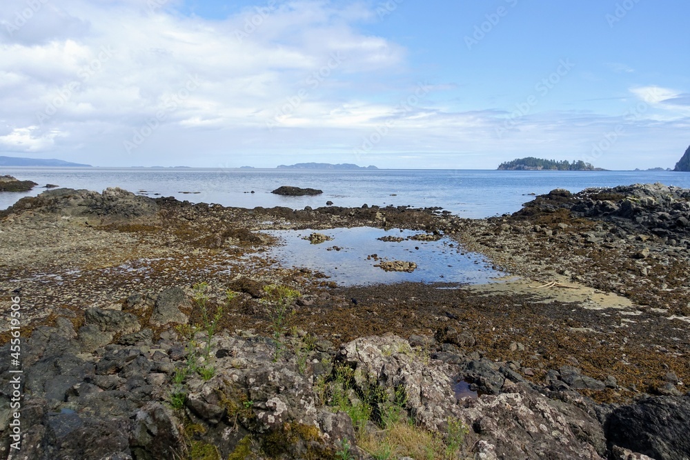 A beautiful view of a shores at low tide surrounded by beautiful calm ocean in the background, in Gwaii Haanas National Park Reserve, Haida Gwaii, British Columbia, Canada