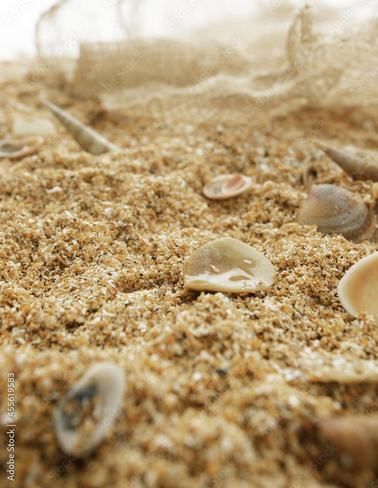 Sand and seashells on white wooden background Sand and seashells on white wooden background