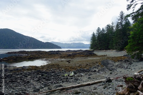 A beautiful view of a shores at low tide surrounded by beautiful calm ocean in the background, in Gwaii Haanas National Park Reserve, Haida Gwaii, British Columbia, Canada photo