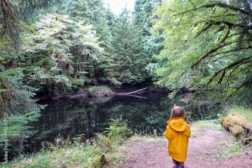 A child standing looking across the river at the spot of the famous golden spruce, outside port clements, Haida Gwaii, British Columbia, Canada