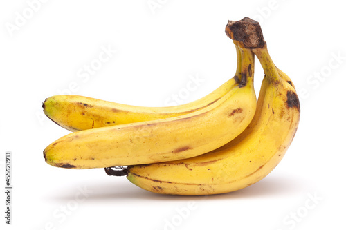 Close-up of three ripe banana (Musa sp) fruits isolated over the white background. photo