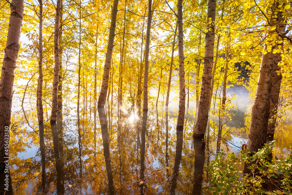 Autumn lake Autumn lake