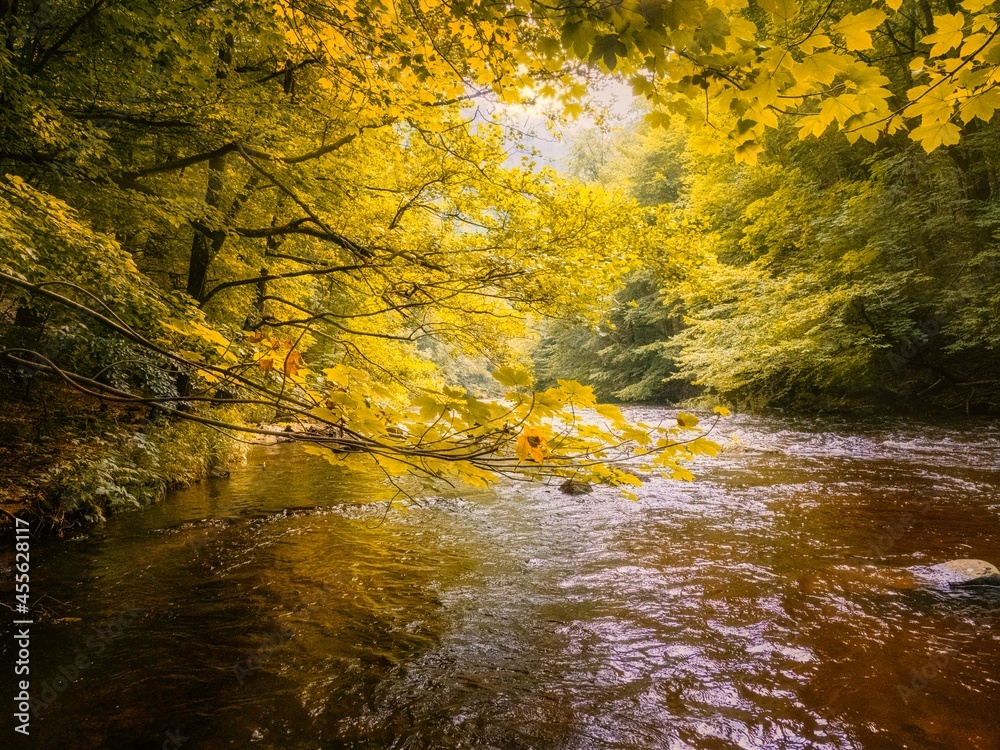 river in autumn river in autumn