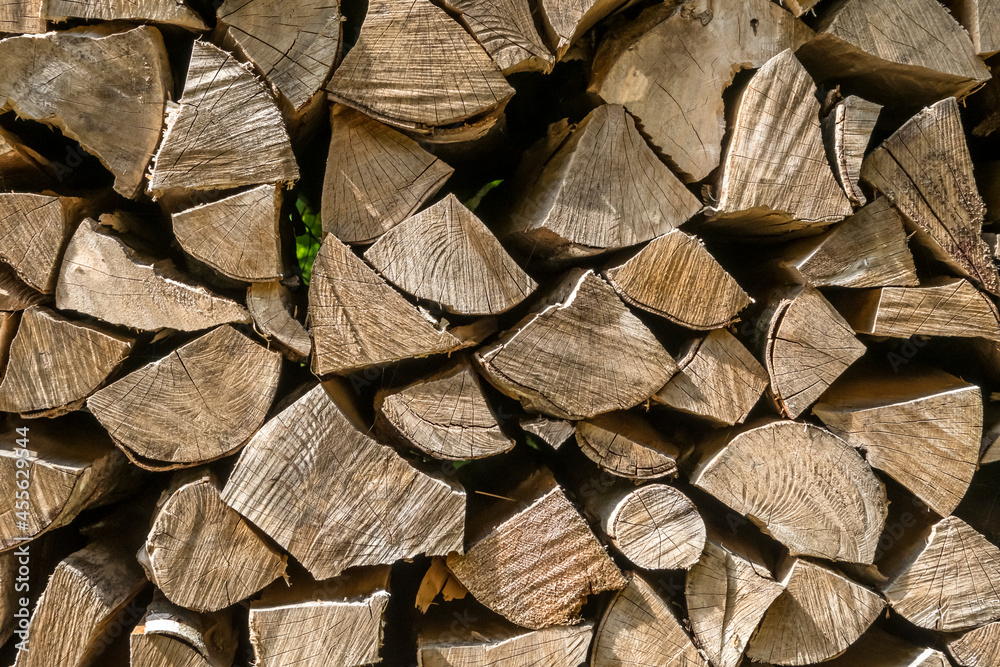Fototapeta premium Brennholzstapel