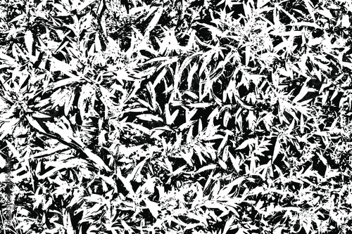 Grunge texture, black and white image of grass. Abstract natural background. Vector illustration. Overlay template.