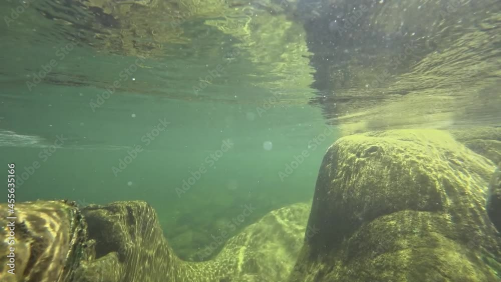 underwater world of a mountain river in the summer underwater world of a mountain river in the summer