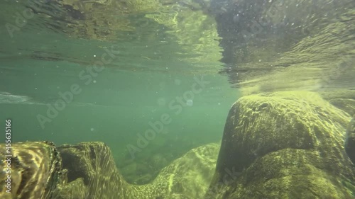 underwater world of a mountain river in the summer