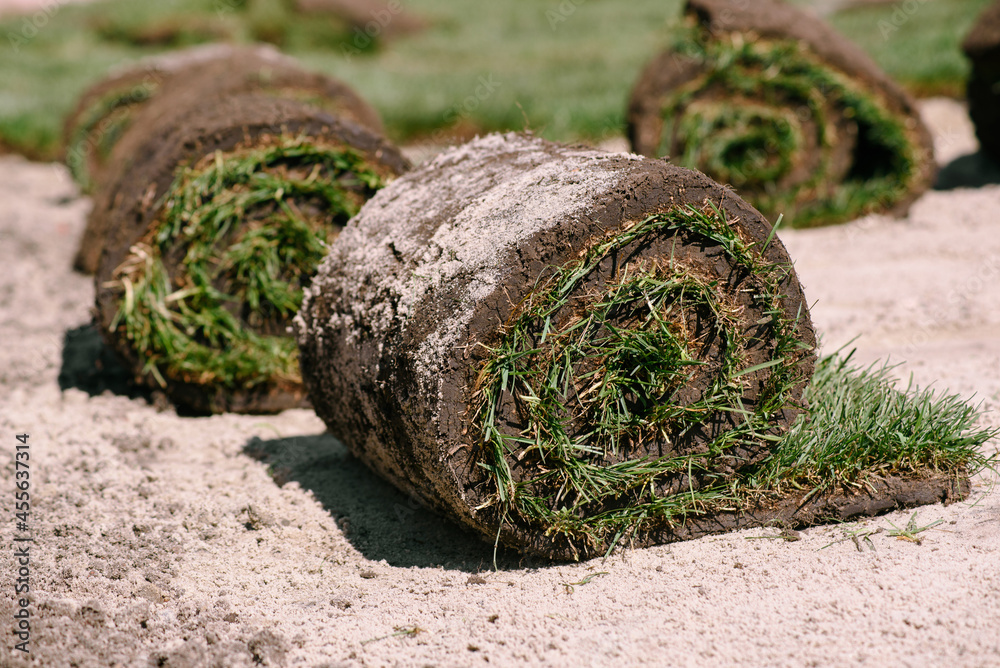 Fresh grass rolls of turf. Preparation for planting of new lawn.