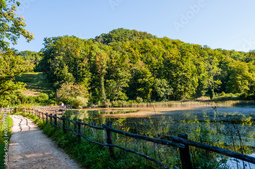 Arlesheim, Ermitage, Weiher, Seerose, See, Holzsteg, Baselland, Waldweg, Wanderweg, Spazierweg, Ausflugsort, Kraftort, Karpfen, Karpfenweiher, Sommer, Schweiz