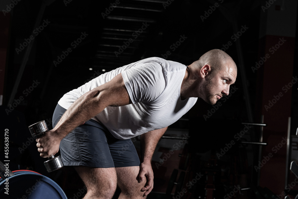 Male bodybuilder engaged with dumbbells in the gym Male bodybuilder engaged with dumbbells in the gym