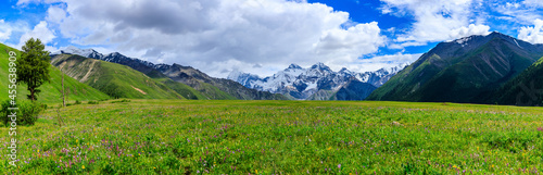 Green grassland and white glaciers natural scenery in Xinjiang China.