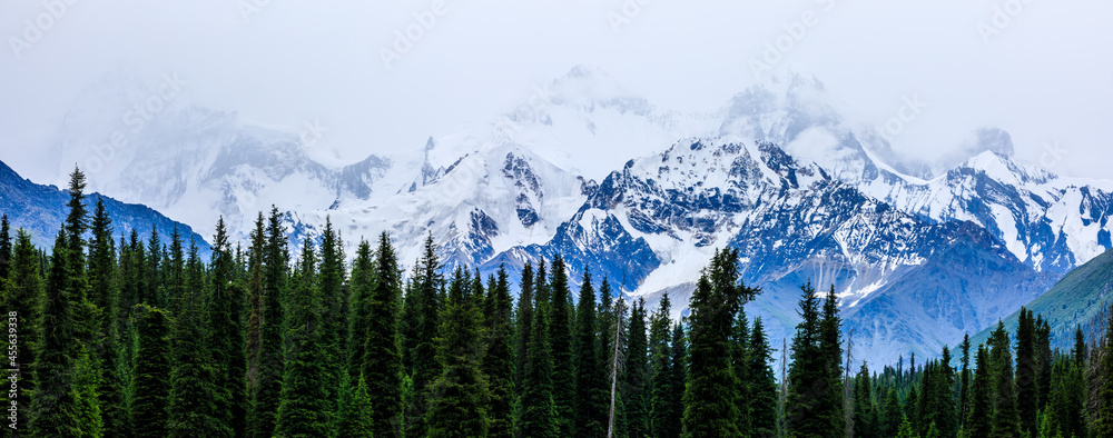 White glaciers and green forest in the Tianshan Mountains range,Xinjiang,China.