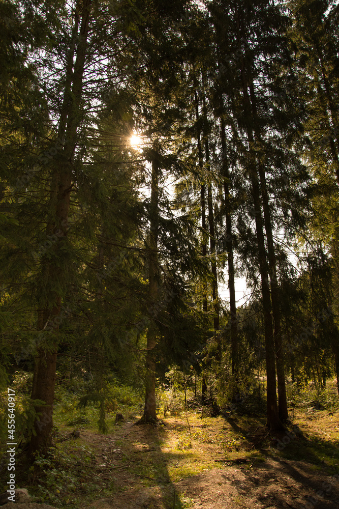 Fototapeta premium Sunny day in Romania, Bistrita