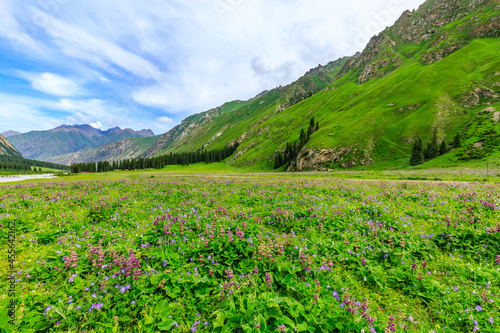 Majestic mountains and beautiful flowers with green grassland in Xiata Scenic Area Xinjiang China.