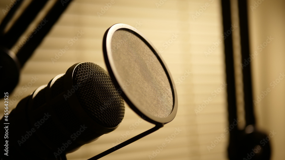 microphone 2 microphone 2
