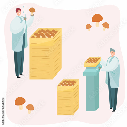 A worker checks the quality of mushrooms in production. 