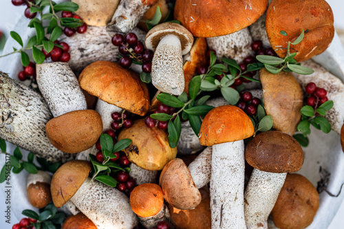 Orange boletus mushrooms and lingonberry in buckets on a rustic background. Collecting wild mushrooms and berries in the forest. Autumn season of edible forest mushrooms and berries. Autumn pattern