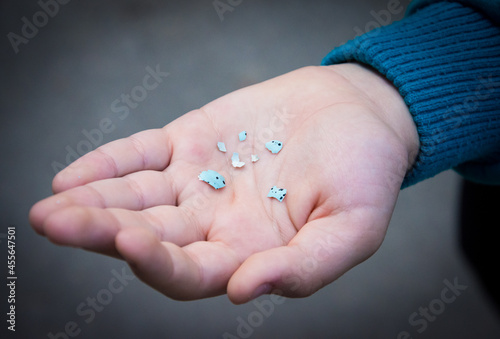 Egg shell shards in the hand