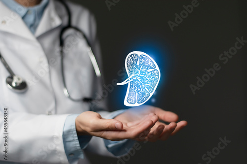 Hematologist doctor, spleen specialist. Aesthetic handdrawn highlighted illustration of human spleen. Dark  grey background, studio photo and collage. photo