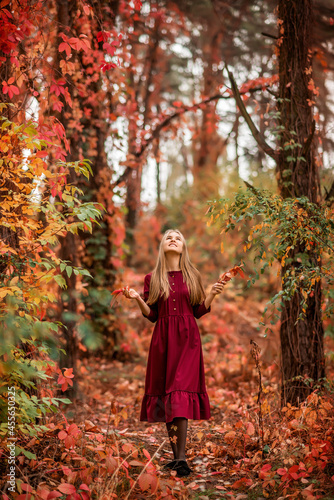 girl in a burgundy dress walks in the autumn forest. A fabulous forest with a wild vineyard.