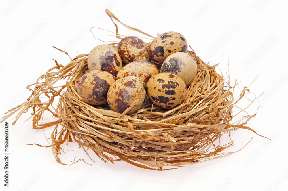 Quail eggs on a white background Quail eggs on a white background