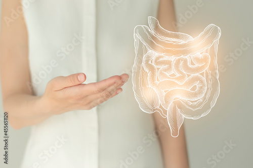Woman in white clothes holding virtual intestine in hand. Handrawn human organ, detox and healthcare, healthcare hospital service concept stock photo photo