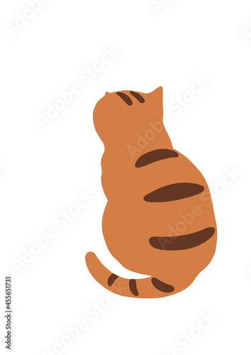 猫の後ろ姿-トラ猫