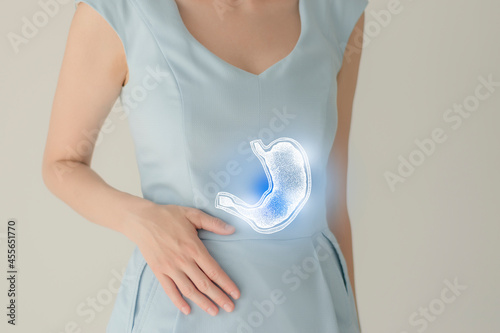 Woman in blue clothes holding virtual stomach in hand. Handrawn human organ, detox and healthcare, healthcare hospital service concept stock photo photo