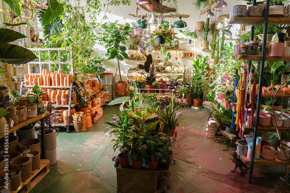 Inside flowers and vintage interior decorations accessories store. Shelves of flowerpots for indoor, evergreen plants in pots with old ceramic decorative elements. Small business and gardening concept