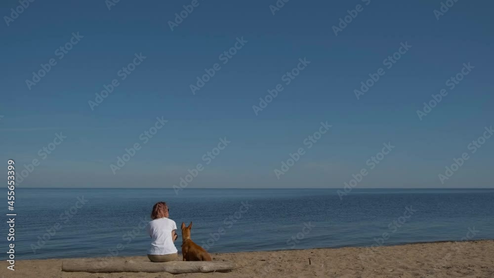 A young woman travels along the coast of the sea with a red dog of the Pharaoh breed. Summer sunny day, blue sky and beach.