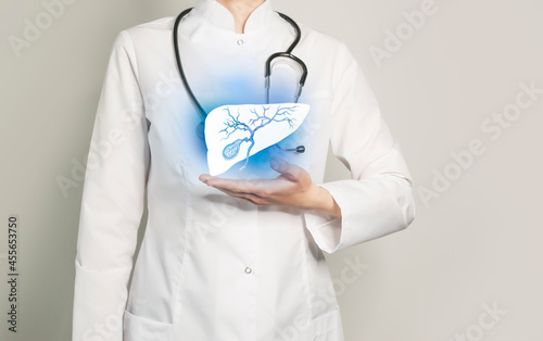 Gastroenterologist doctor, gall bladder specialist. Aesthetic handdrawn highlighted illustration of human gall bladder. Neutral grey background, studio photo and collage.