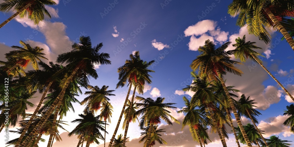 Palm trees against the sky with clouds, tropical landscape with palm trees, 3D rendering