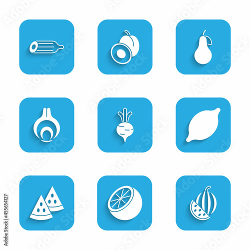 Set Beet, Orange fruit, Watermelon, Lemon, Onion, Pear and Fresh cucumber icon. Vector