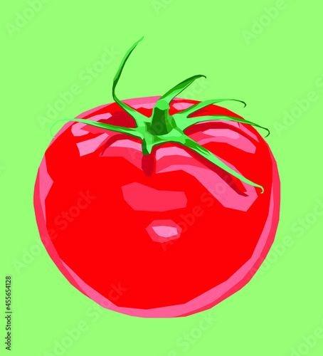 vector tomate dibujo fondo verde
