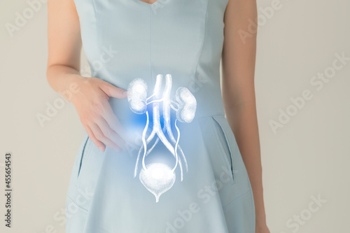 Woman in blue clothes holding virtual renal system in hand. Handrawn human organ, detox and healthcare, healthcare hospital service concept stock photo photo