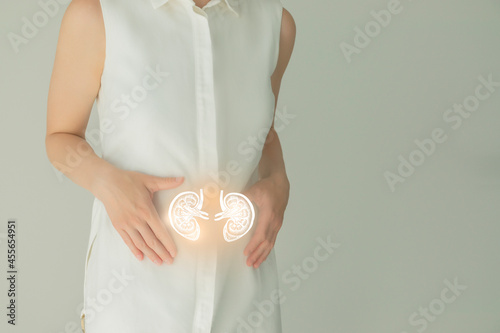 Wallpaper Mural Woman in white clothes holding virtual kidneys in hand. Handrawn human organ, detox and healthcare, healthcare hospital service concept stock photo Torontodigital.ca