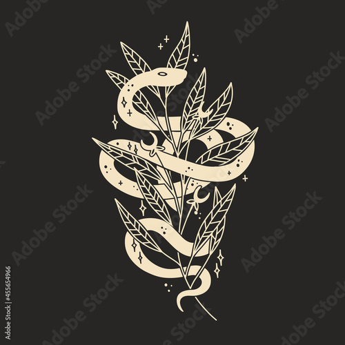 abstract illustration of mystical night. image of a snake, hands, phases of the moon and sun. sacred graphics geometry. mystical energy
