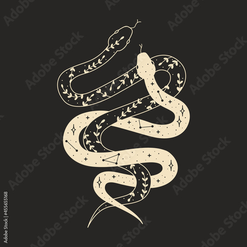 abstract illustration of mystical night. image of a snake, hands, phases of the moon and sun. sacred graphics geometry. mystical energy