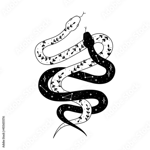 abstract illustration of mystical night. image of a snake, hands, phases of the moon and sun. sacred graphics geometry. mystical energy