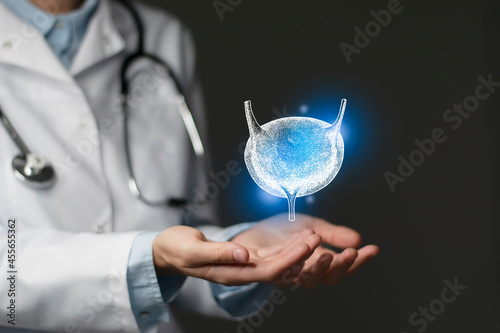Nephrologist doctor, bladder specialist. Aesthetic handdrawn highlighted illustration of human bladder. Neutral grey background, studio photo and collage. photo