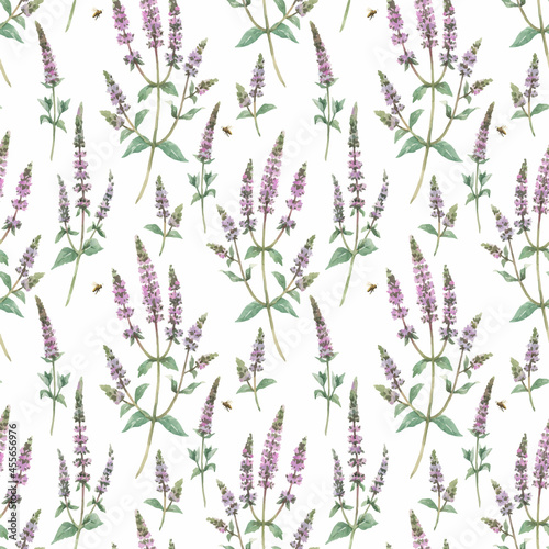 Beautiful vector floral seamless pattern with hand drawn watercolor spearmint flowers. Stock illustration.