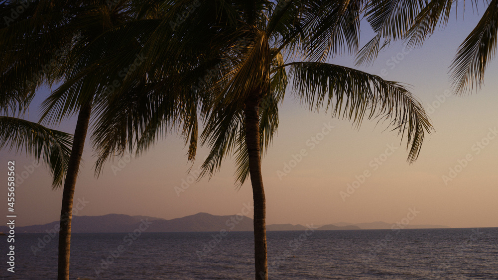sunset on the sea, palm trees and rocks