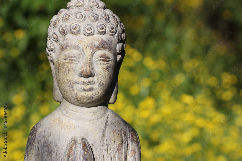 Buddha Statue With Field of Yellow Flowers in Background Buddha Statue With Field of Yellow Flowers in Background
