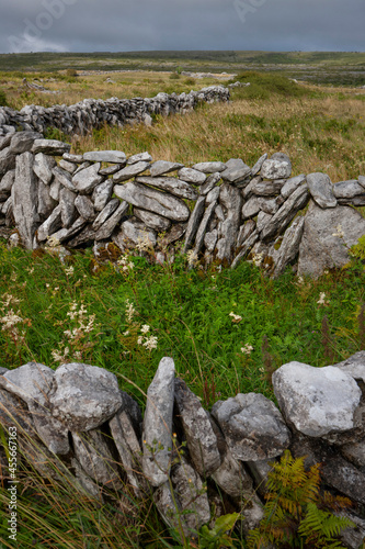 The Burren. Karst landscape Ireland. Rocks. County Clare in the southwest of Ireland. Walls of rocks.