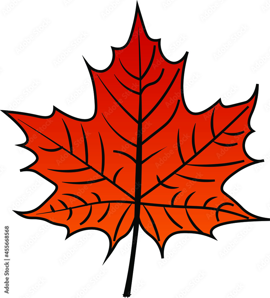 Maple Leaf vector colour autumn Maple Leaf vector colour autumn