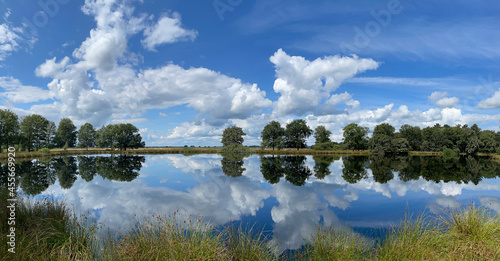 panorama from a Lake in National Park Dwingelderveld photo